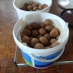 WE-AnandYatraAtOC13072018 (5)