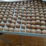 WE-AnandYatraAtOC13072018 (6)